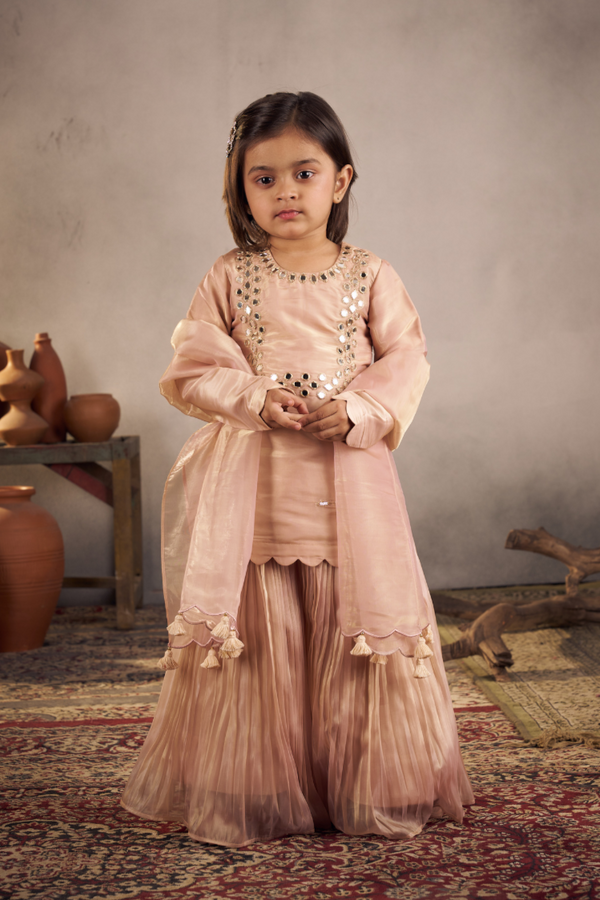 PEACH MIRROR WORK SHARARA SET